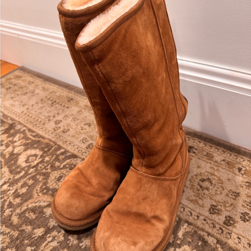 UGG Chestnut Zip-Front Suede Boot with Shearling - Picture 5 of 5